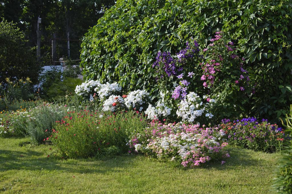 Guest House Lybimtsevoy Suzdal Exterior photo